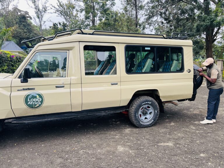 Best family safari holidays in Africa 2025/26