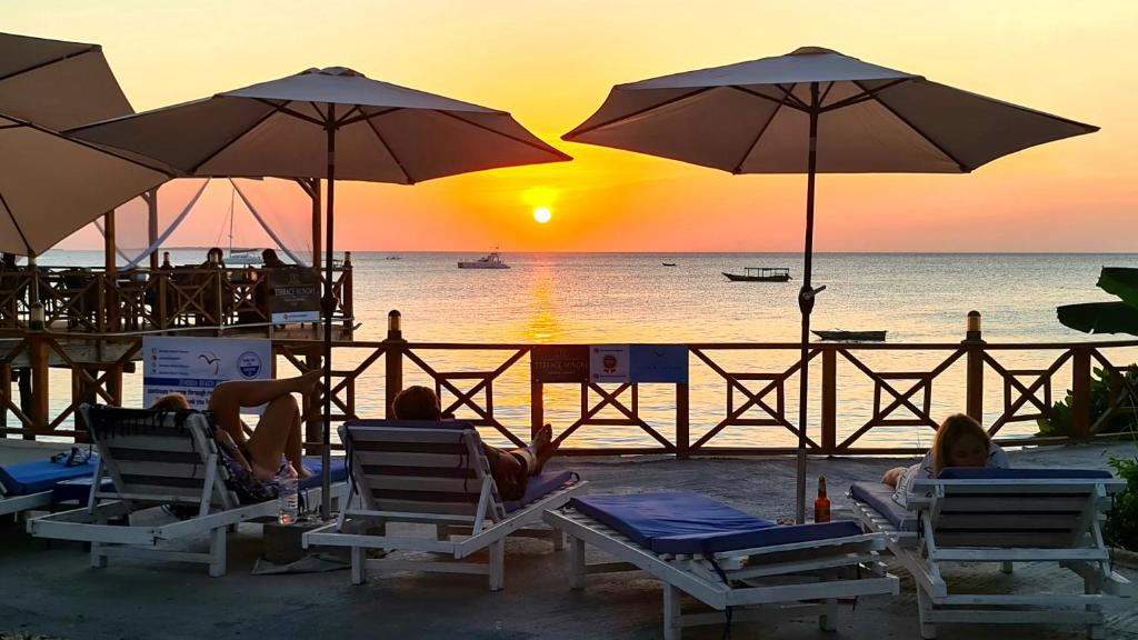 10 Best Things to Do in Tanzania Safari Cultural Experiences with Lobo Africa