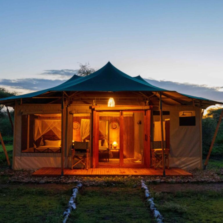 Tanzania safari cost