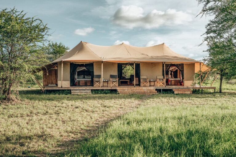 Best things to do in Tanzania