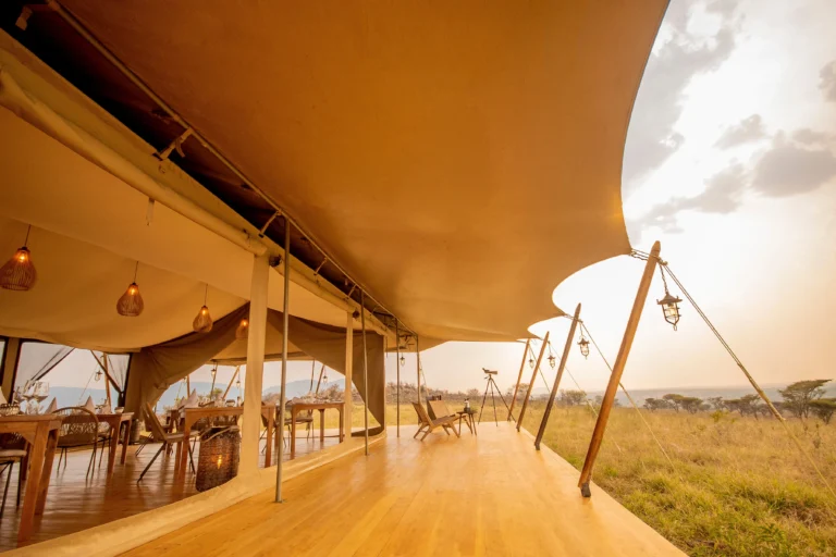 Tanzania Travel Guide