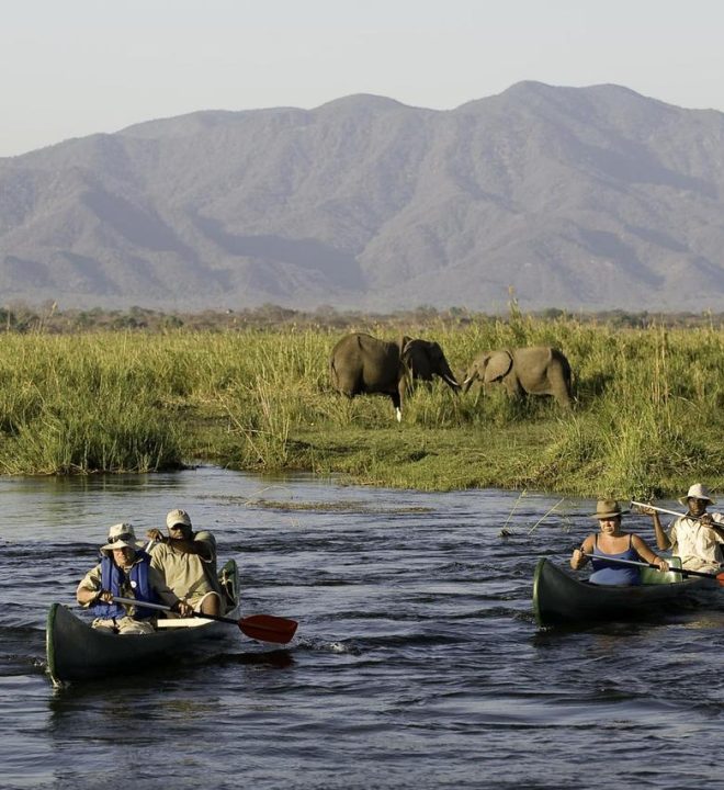 Arusha National Park | Tanzania safari