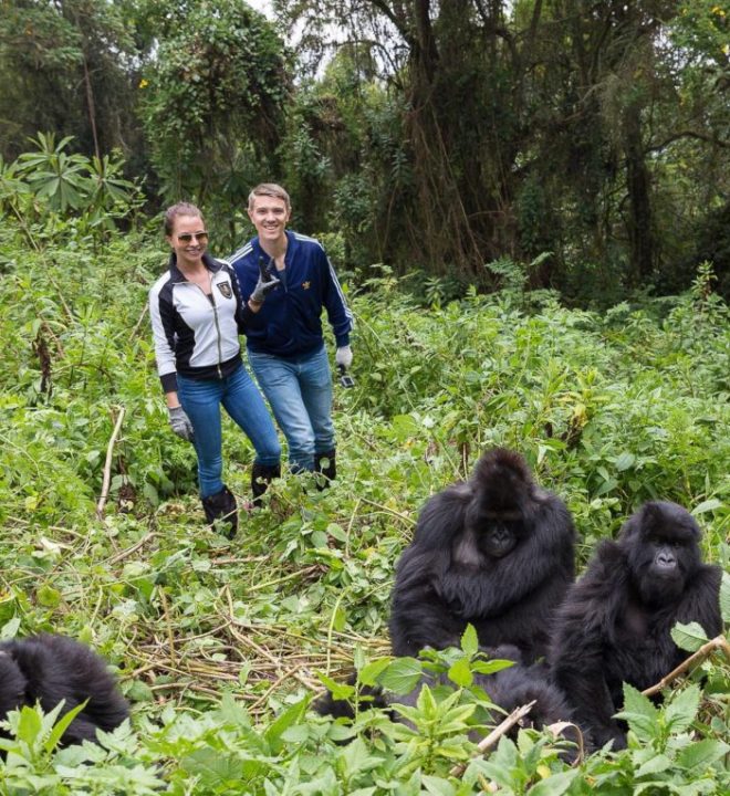Gorilla-trekking-in-Rwanda