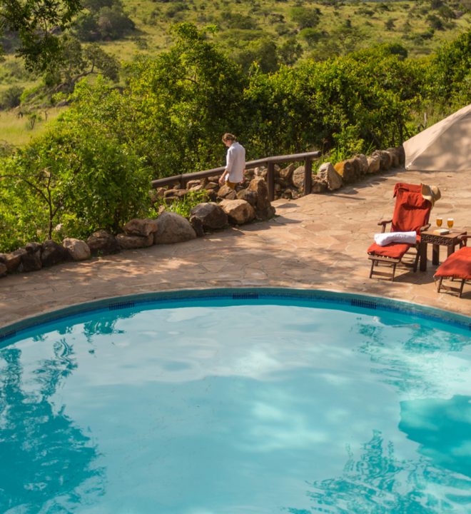 Safari-Haven-Migration-Camp-3375401107