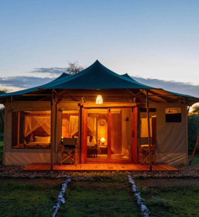 Tanzania safari cost
