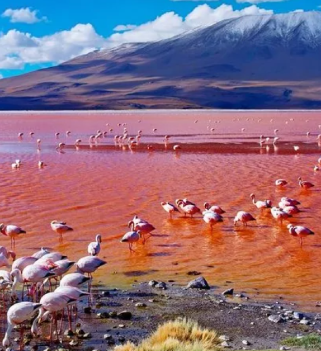 lake-natron