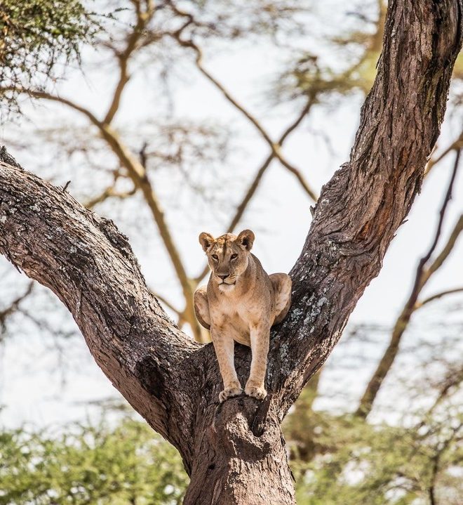 legendaryexpeditions_1729528943824