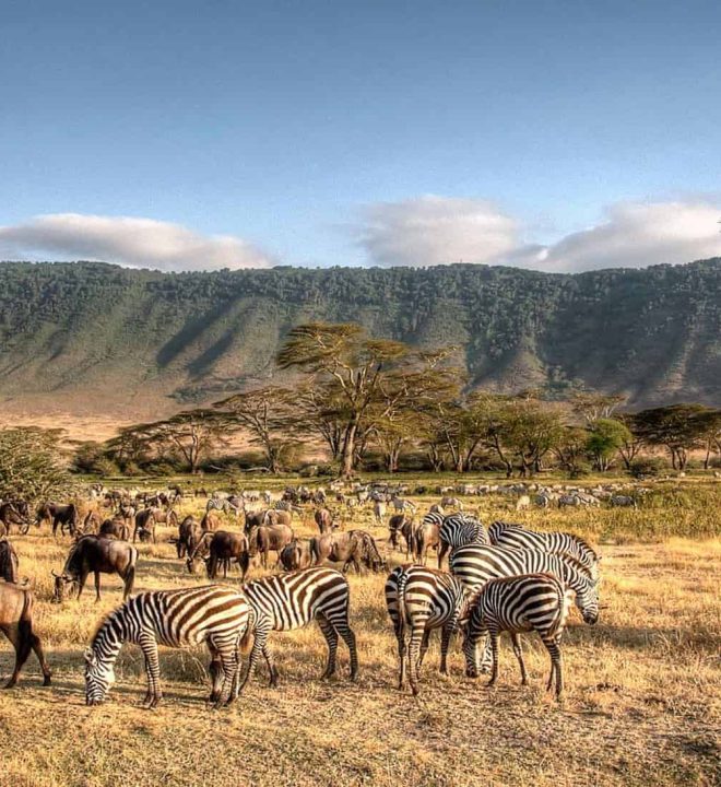 ngorongoro crater tour